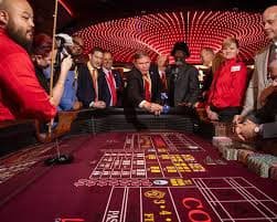 easycuci Wild dan scatter